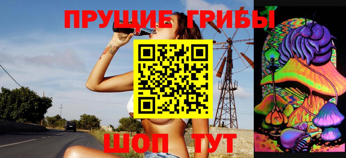 Мыски  Галлюциногенные грибы Psilocybe  Вход с VPN 